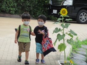 7月13日（火）