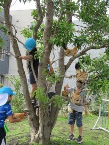 9月15日（木）