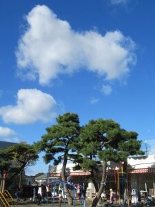 11月24日（水）