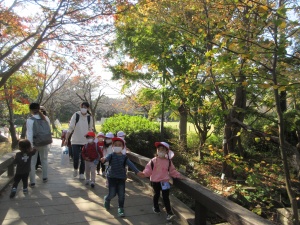 11月17日（水）