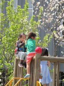 4月11日（月）