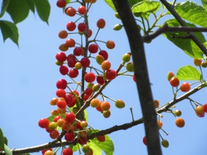 4月25日(月)