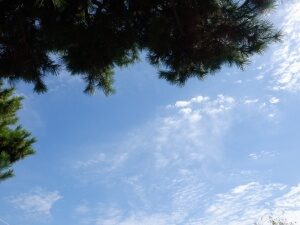 10月２１日（金）