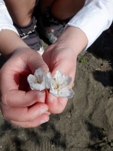 3月8日（水）
