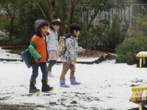 初雪