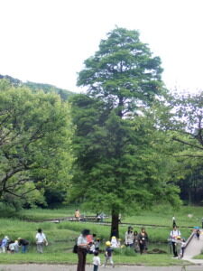親子遠足『新林公園』