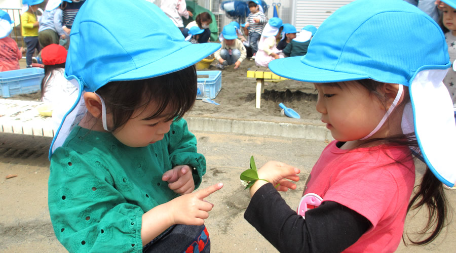 湘南学園幼稚園
