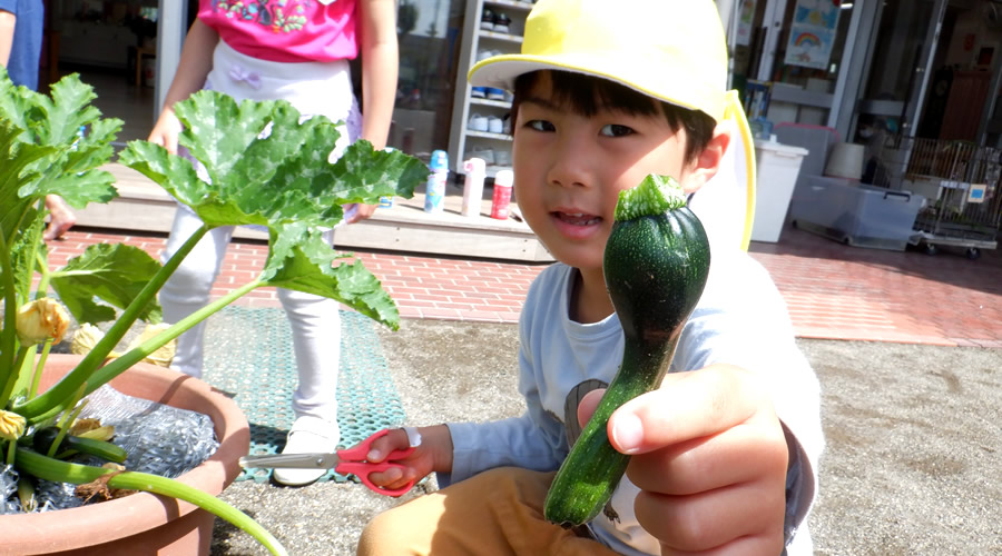 湘南学園幼稚園