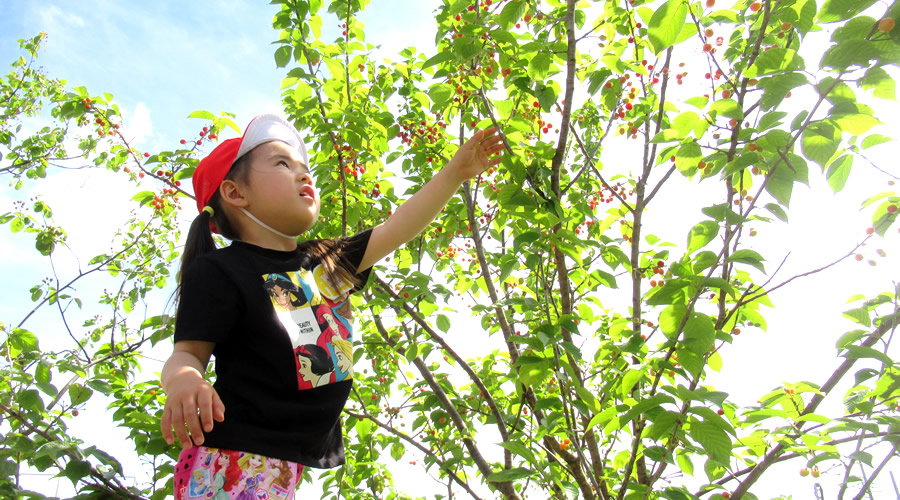 湘南学園幼稚園