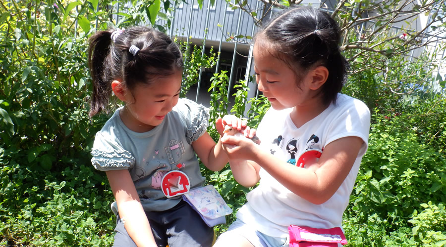 湘南学園幼稚園