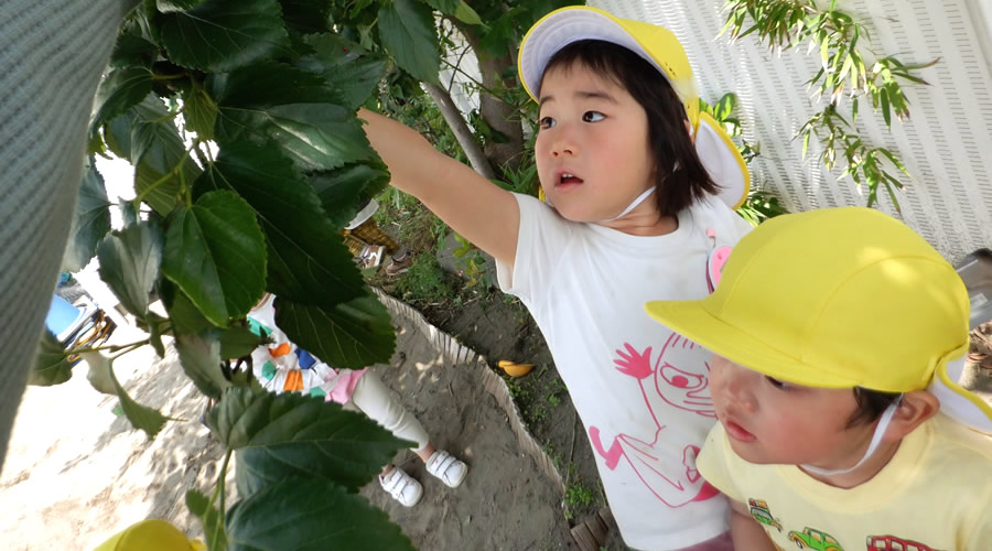湘南学園幼稚園