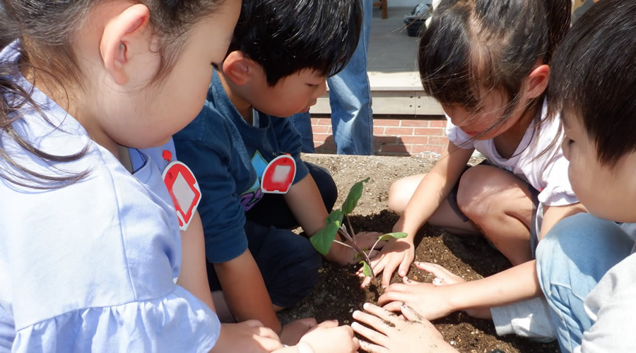 湘南学園幼稚園