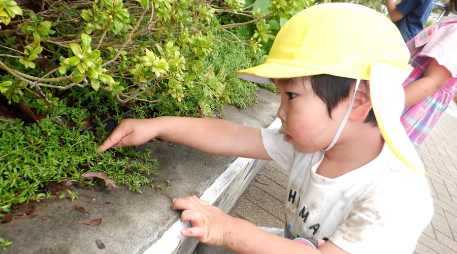 湘南学園幼稚園