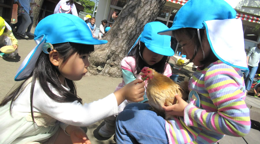湘南学園幼稚園