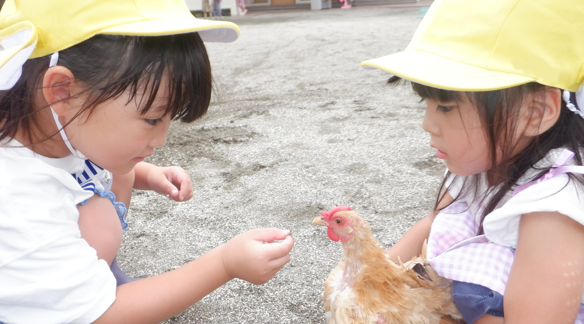 湘南学園幼稚園