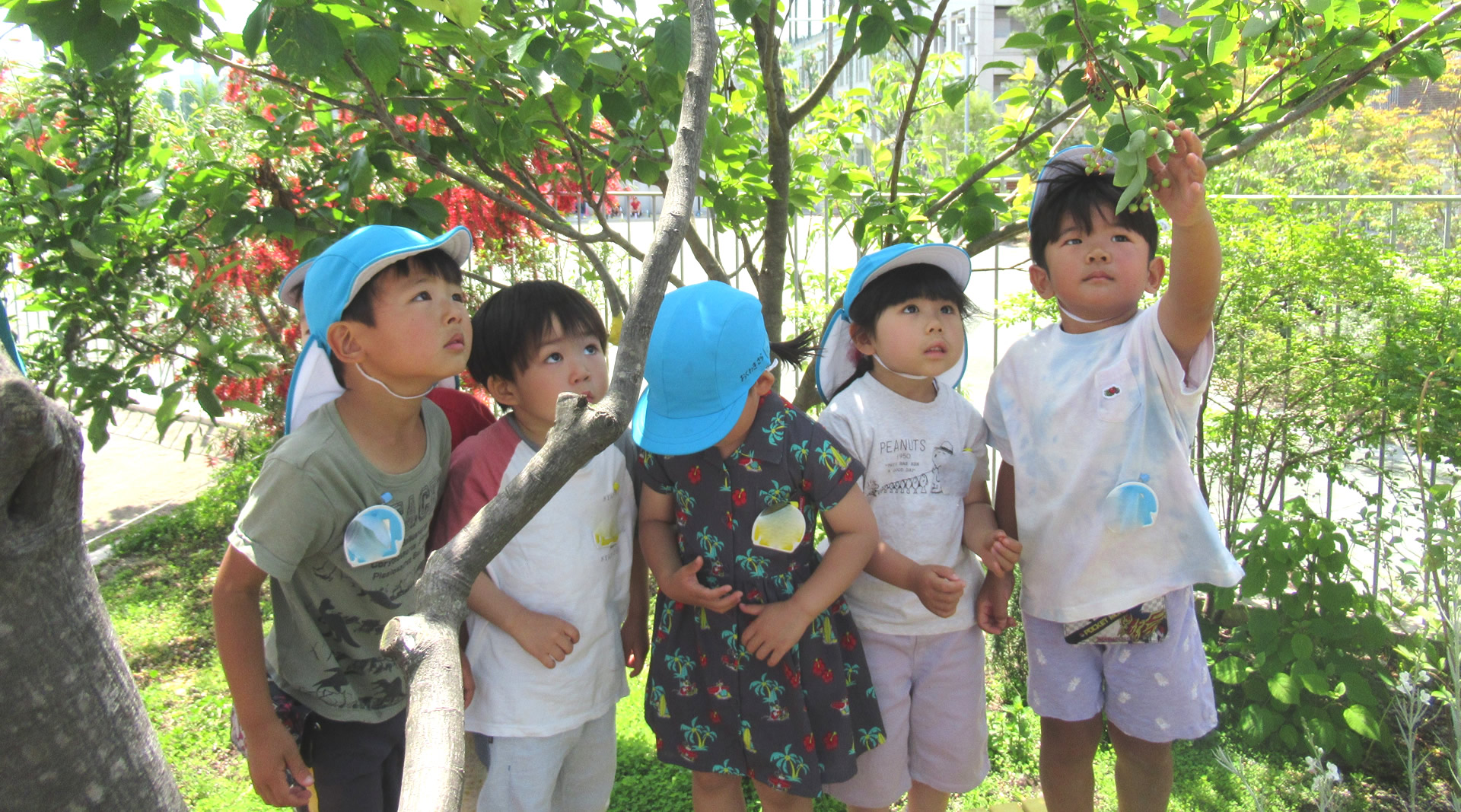 湘南学園幼稚園