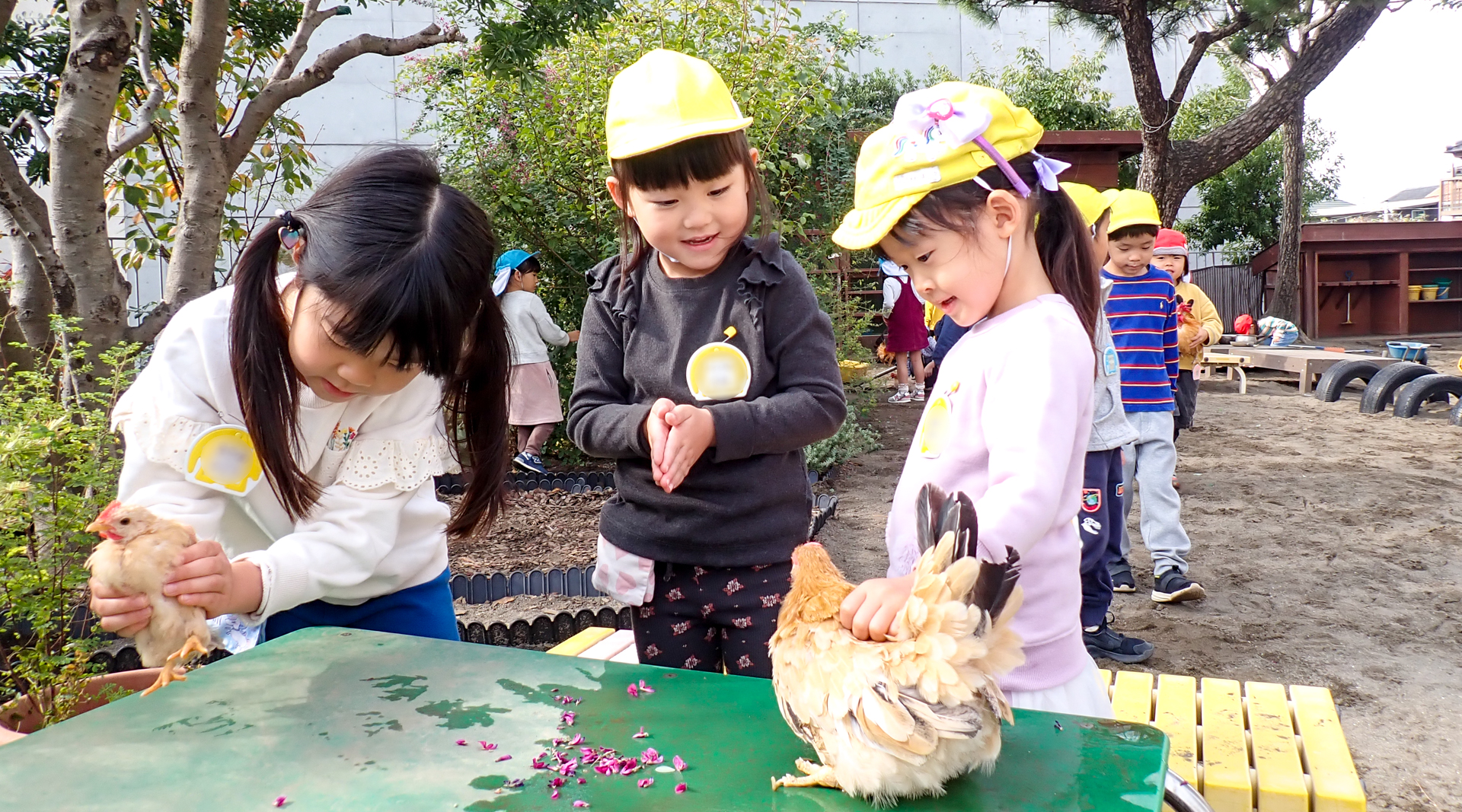 湘南学園幼稚園