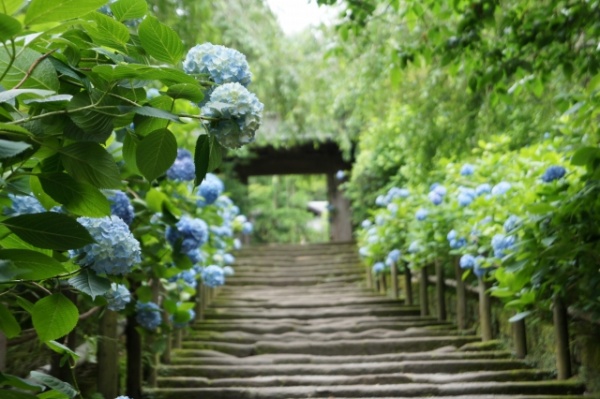 一雨、千山を潤す