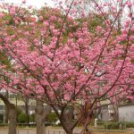 第2回 毎日の通学 朝早めに・自分で起きること 第2回 毎日の通学 朝早めに・自分で起きること