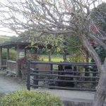 第11回 「ニッポンの里山」日本全国の暮らしと絶景に出会える10分間 第11回 「ニッポンの里山」日本全国の暮らしと絶景に出会える10分間