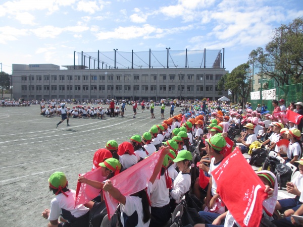 第45回　小学校と幼稚園～運動会行事のドラマ