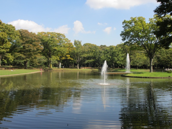 第51回　都内の大公園・日曜日の光景