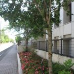 第82回 学園生活の締め括り~高校卒業式 第82回 学園生活の締め括り~高校卒業式