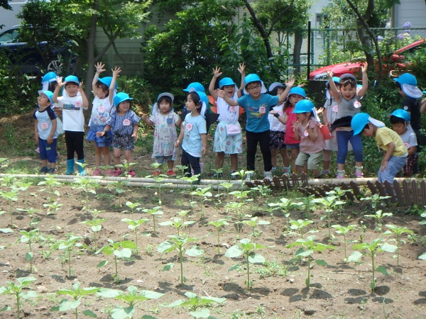 第119回　非認知能力を伸ばす学園の幼児教育