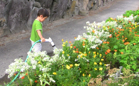 第120回　お手伝いの大切さ～日々の親子関係