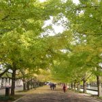 第140回「湘南学園生に育みたい力」を考える 第140回「湘南学園生に育みたい力」を考える