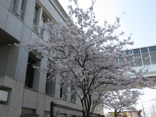 第168回　学園生活の再開を待ち望みながら