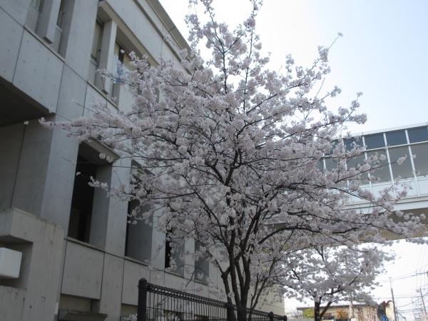 第168回　学園生活の再開を待ち望みながら