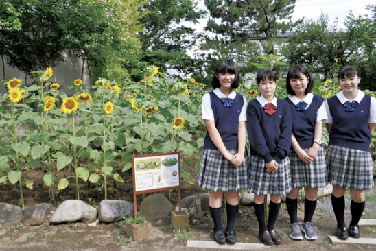 「ひまわりプロジェクト」活動紹介