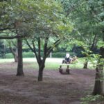 第220回 長いコロナ禍の生活と心身への影響 第220回 長いコロナ禍の生活と心身への影響