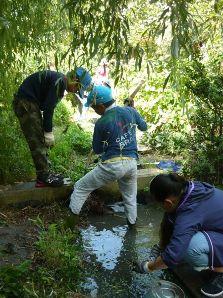 第244回　学園小学校「学びの森」と児童たち