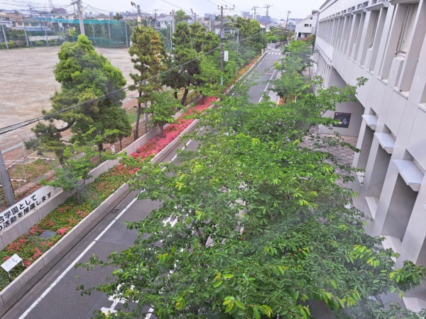 信じて任せる、笑顔で見守る　体育祭